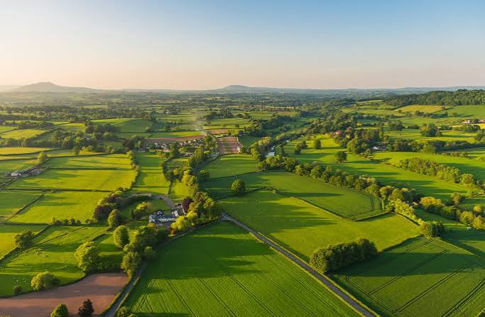Is My Land in the Green Belt? What It Means for Development greenbelt