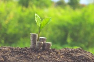 What Happens to Land Value During the Planning Process?